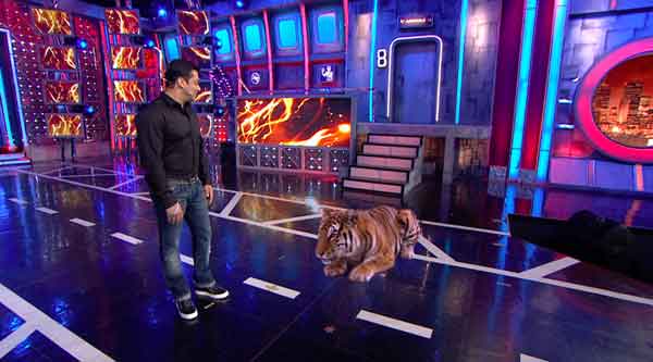 Tiger visits Salman Khan on the set of Bigg Boss 8