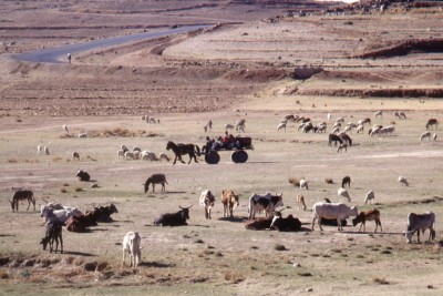 UN spotlights climate-smart approach to spark rural renewal