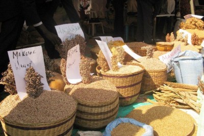 Global food prices down in May: UN