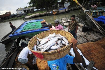 Ban urges recommitment to treaty on use of world's oceans