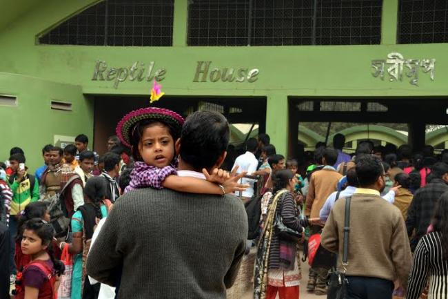 Kolkata celebrates new year amid pomp and gaiety