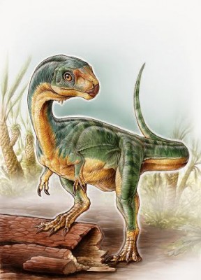 Bizarre 'platypus' dinosaur discovered