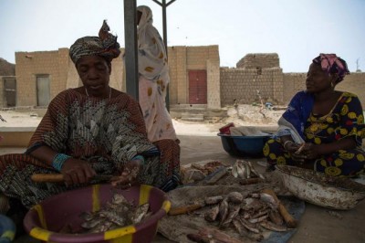 UN official urges Malian parties to adhere to peace accord