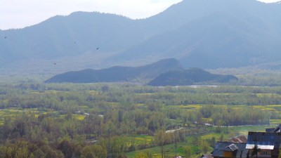 One killed, five injured in Kashmir grenade attack