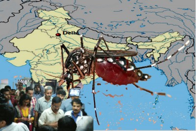 Dengue in Delhi: Three more die