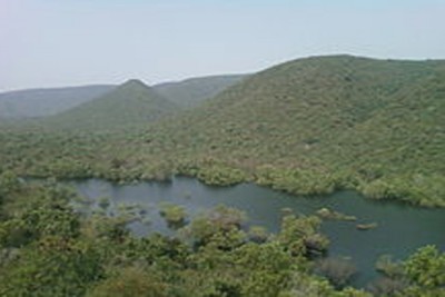 20 red sanders smugglers killed during encounter in AP