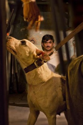 â€‹Byomkesh Bakshy's dog is called Winston â€‹