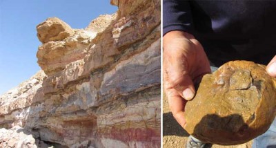 Israel: Sanctuaries in diversity