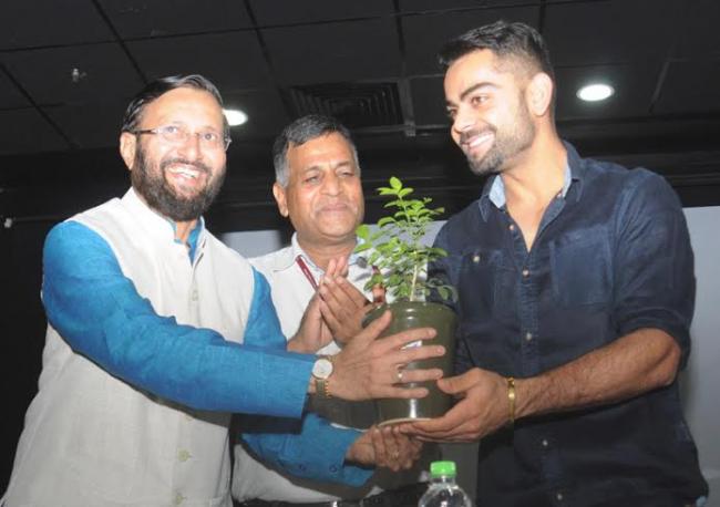PM plants "Kadamb" sapling on World Environment Day