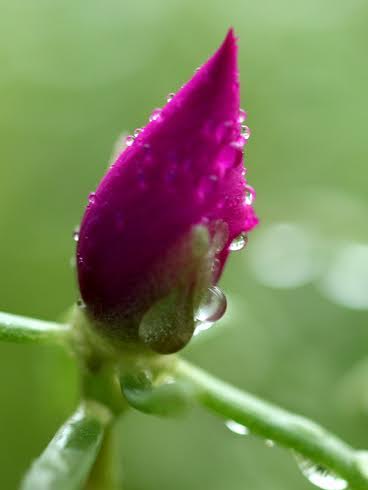 Clouds and raindrops through the 'lens' marking photography day