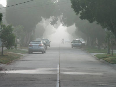 Delhi: Dense fog affects visibility