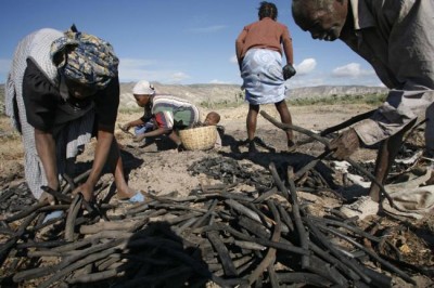 Haiti: UN agency says weather and drought to blame as food insecurity doubles