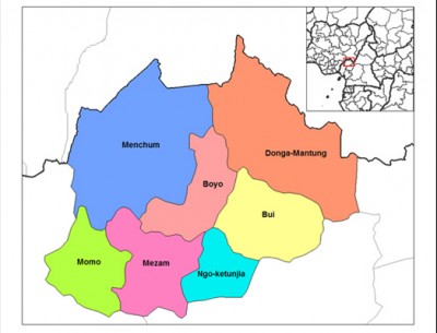 At least 25 killed in suicide attack in North Cameroon