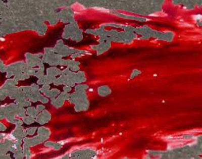 Alleged rapist murders six year old and hides body in a vessel at home  