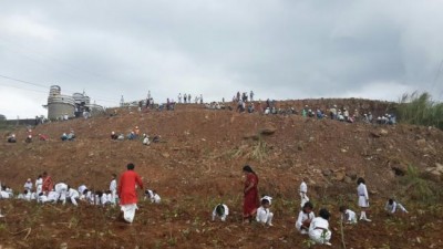 MCL conducts plantation drive in Meghalaya