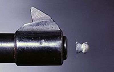 Expert Committee submits report on exploring possible alternatives to Pellet Guns as Non-lethal Weapons 