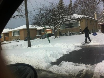 Toronto: Cancellation of flights, shutting down of universities, over 500 collisions caused by heavy snow