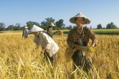UN highlights agriculture's potential to help address climate change and antimicrobial resistance