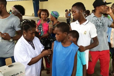  Measures to control yellow fever still needed despite drop in number of cases â€“ UN health agency