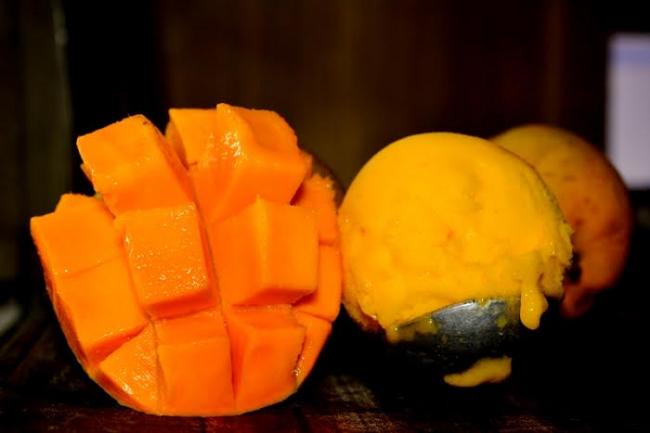 Mama Mia hosts special food journey in Kolkata