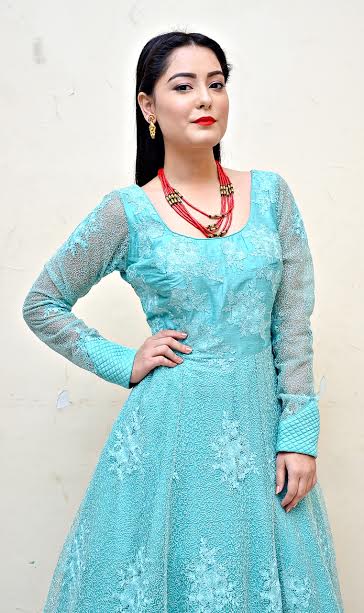 Shyam Sundar Co. Jewellers' â€œSharad Sundari 2016â€ unveiled