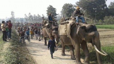 Uttar Pradesh: Forest officials hotfooting to track man-eating tigress of Pilibhit 