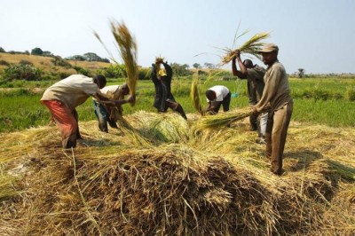Pradhan Mantri Fasal Bima Yojana is a good scheme with flawed implementation, says CSEâ€™s latest report