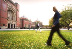 Researchers find new insight into role of male hormones in fertility, polycystic ovary syndrome