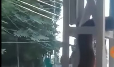 Python spotted in Katra station, video goes viral