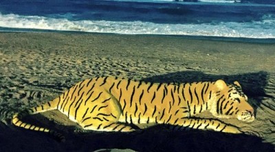 India observes Global Tiger Day on July 29