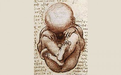 Sleep helps infants with language development, says study