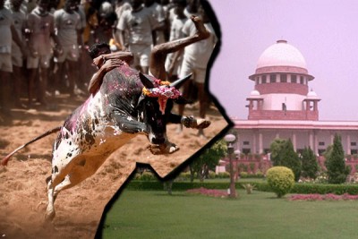 Jallikattu: Centre clears ordinance