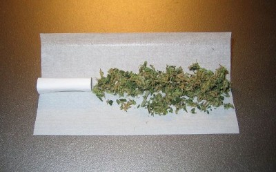 262 kg marijuana seized in West Bengal, 1 held