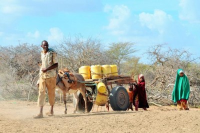  UN agencies supporting Kenyans in drought-hit areas