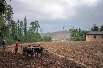  Business-as-usual not an option with future global food security in jeopardy, cautions UN agency   