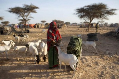 UN approves $22 million loan to boost agricultural work to prevent famine in Somalia