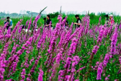 Sustainable tourism can advance global development, UN agency highlights on World Day