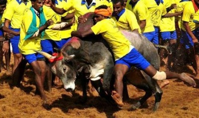 Chennai Jallikattu agitation : Police accused of vandalising property, beating up innocent