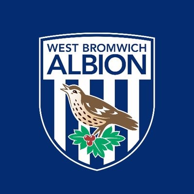 West Bromwich sacks coach Tony Pulis
