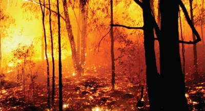 B.C. Wildfire continues, forces local people to flee