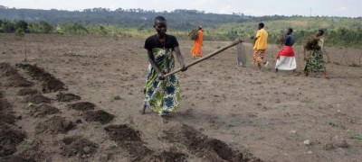 Job creation around agriculture can spur youth employment in Africa â€“ UN agency
