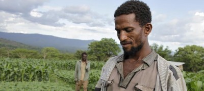 â€˜Think beyond farm jobsâ€™ to reach sustainable development, UN agriculture chief advises African youth