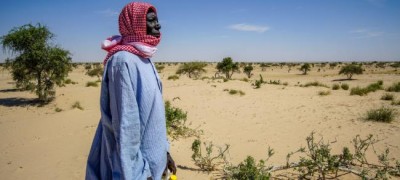 Climate Change Focus: Lake Chad trees keep deadly drought at bay