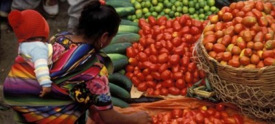 UN agriculture chief urges â€˜transformative changesâ€™ to how we eat