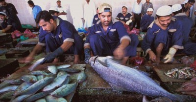 New migration pact highlights key role of business in protecting migrants, say UN experts