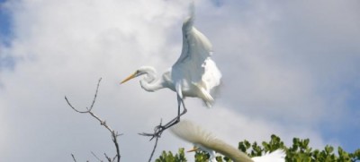 UNESCO gives sustainable development a boost; designates 24 new biosphere reserves