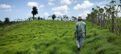 Climate Change Focus: Cows, coffee and sustainable farming