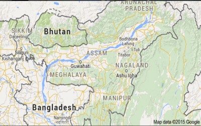 Grenade blasts accidentally in Assamâ€™s Morigaon district, 2 hurt
