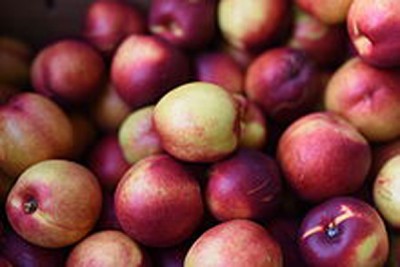 October CPI inflation stands at 3.31 pct