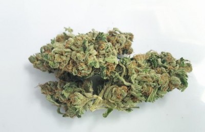 Canada: CSA warns Canada-U.S. cannabis companies to strictly adhere to disclosure rules